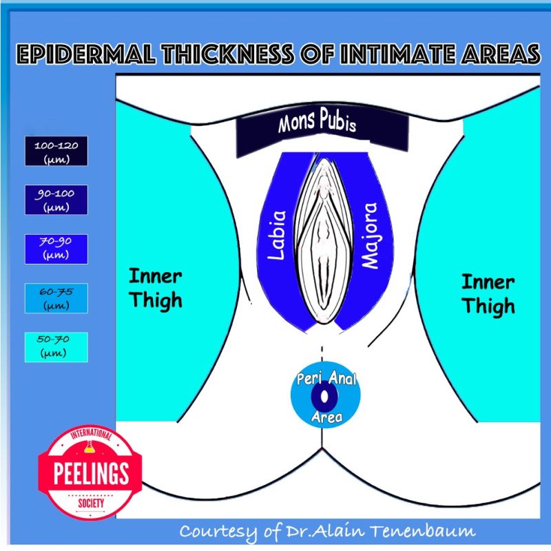 epidermal thickness of intimate areas