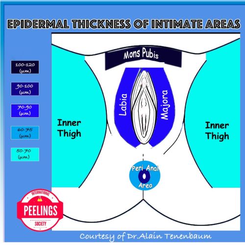 epidermal-thickness-intimate-areas