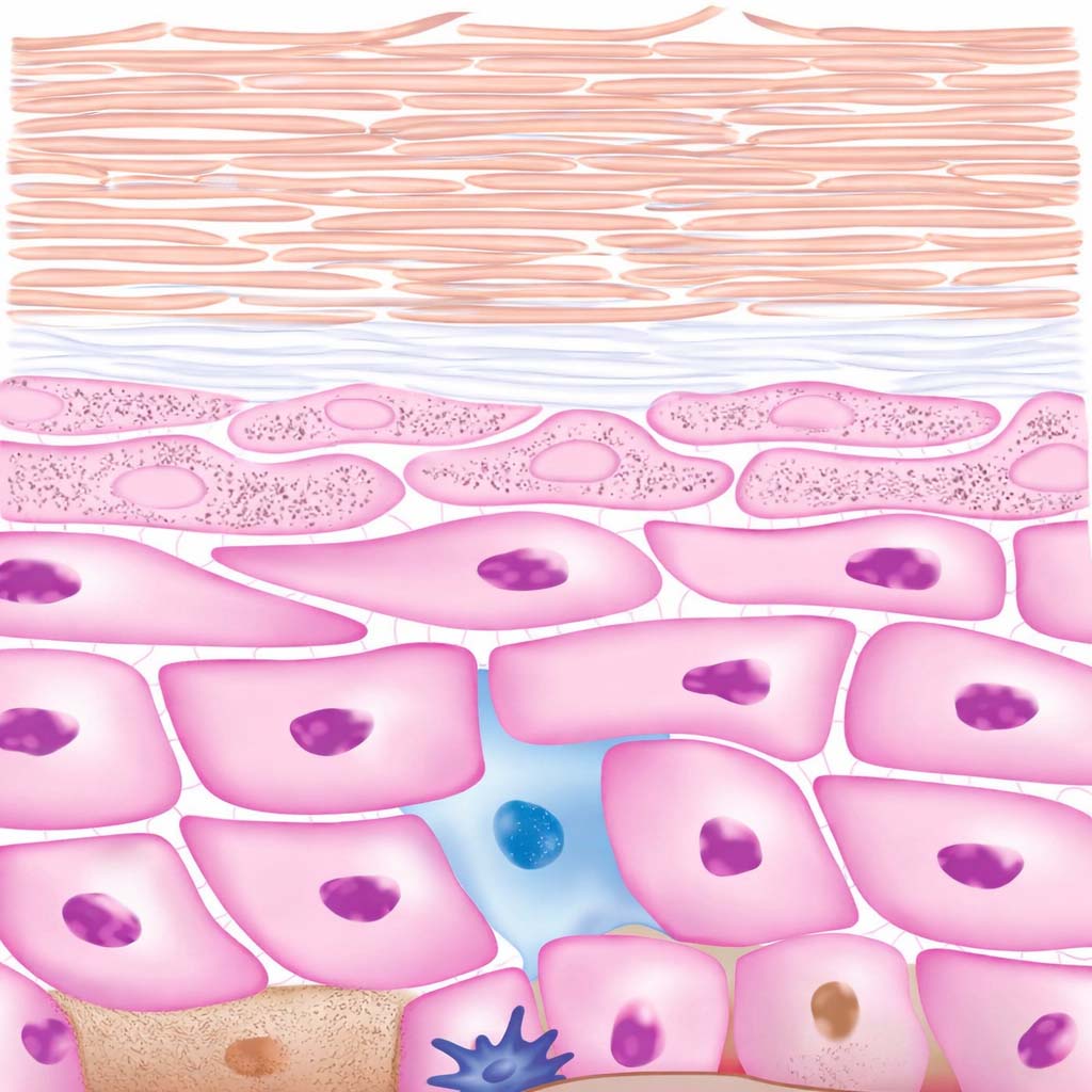 mechanisms-of-action