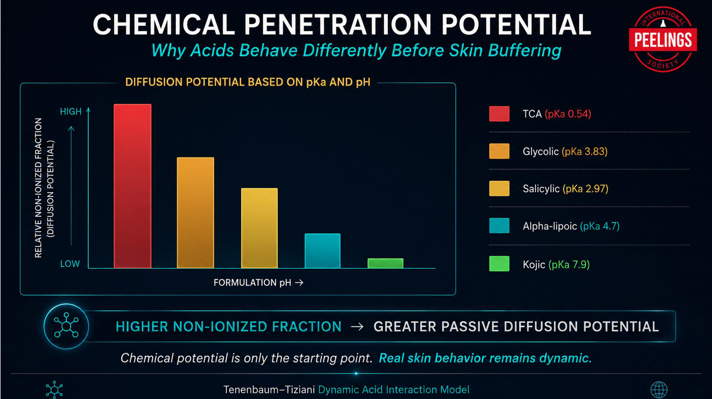 Chemical penetration potential model in metabolic peels
