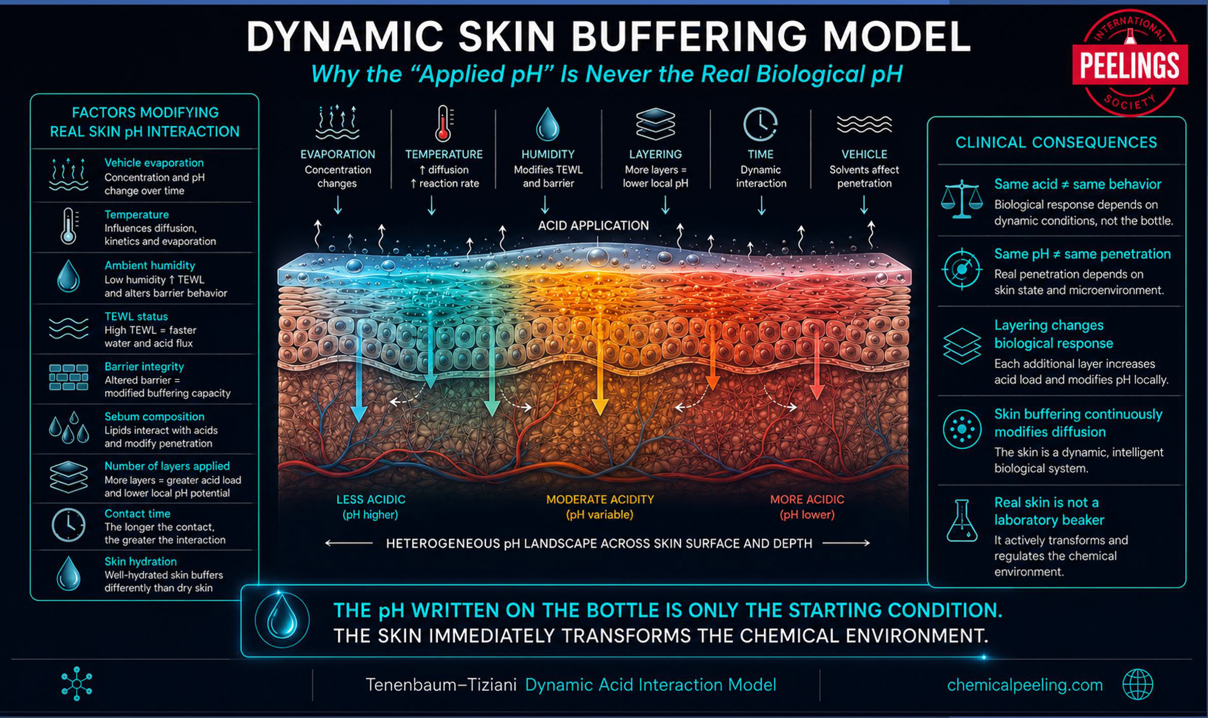 Dynamic skin buffering model in metabolic peels