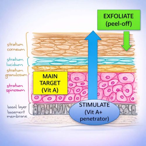 metabolic-vs-destructive-approaches
